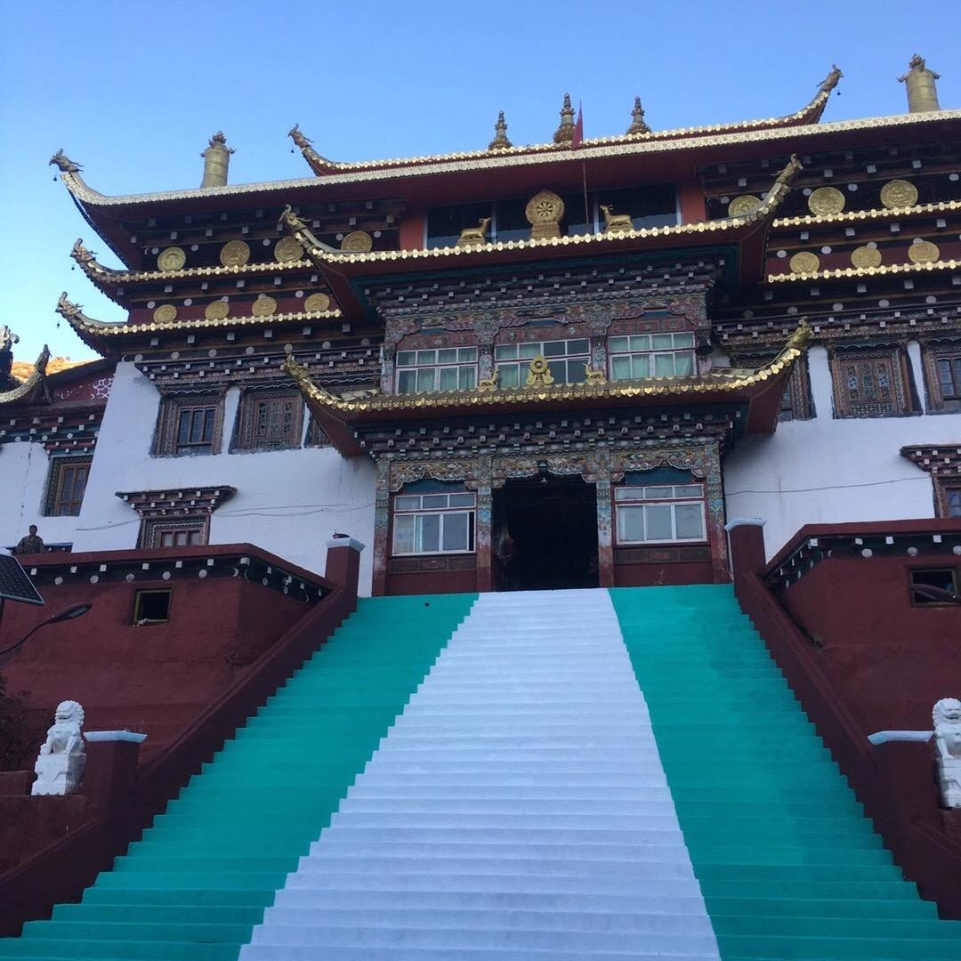 扎尼