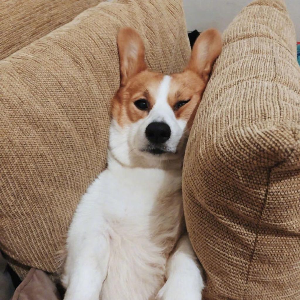 王大可ᯅ̈