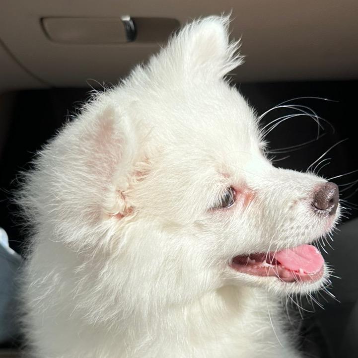 无所畏惧的冒险