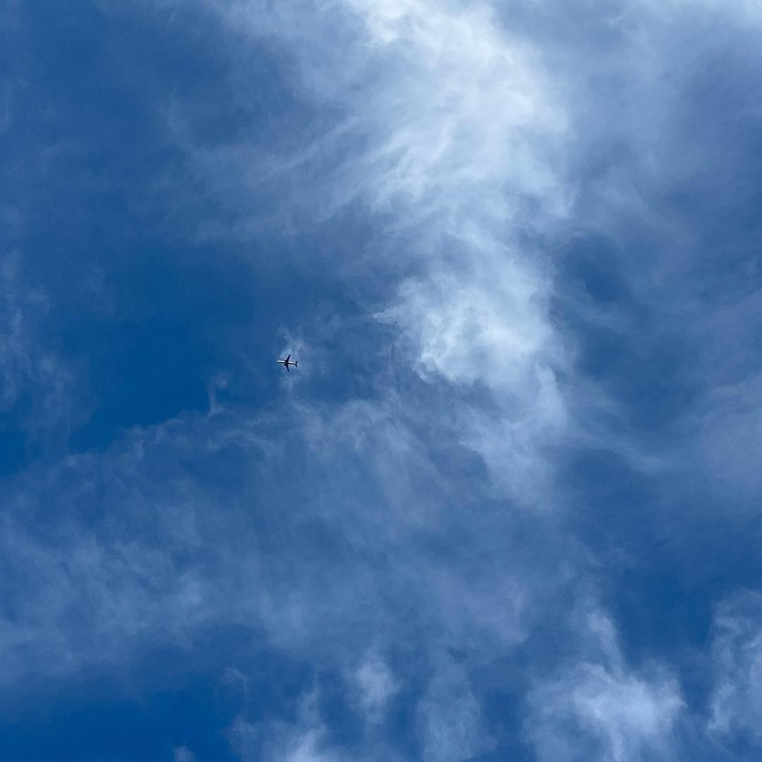 朋友说就叫桃子