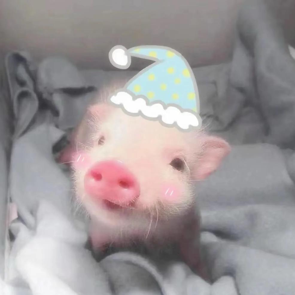 21_