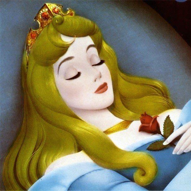 睡美人性感家居城堡