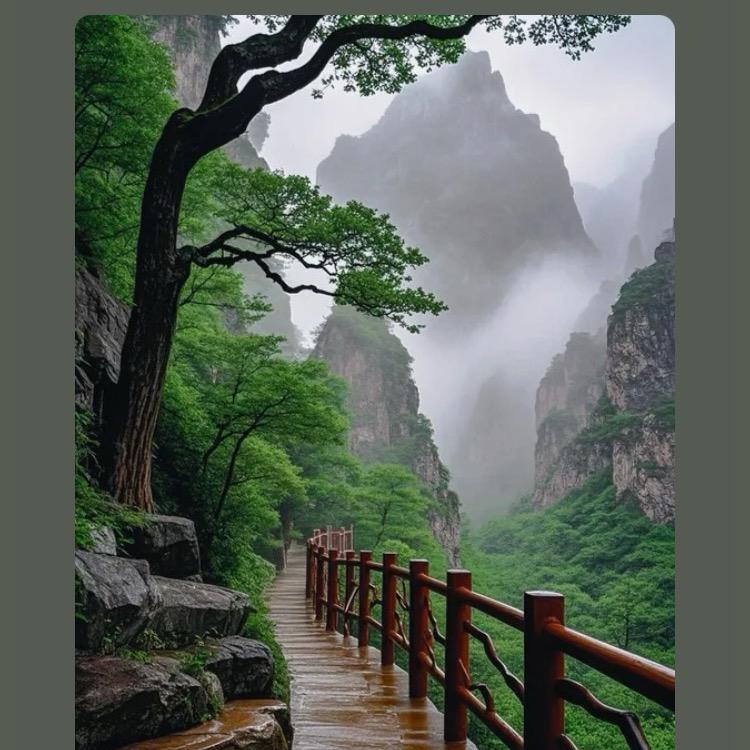 顺应天意