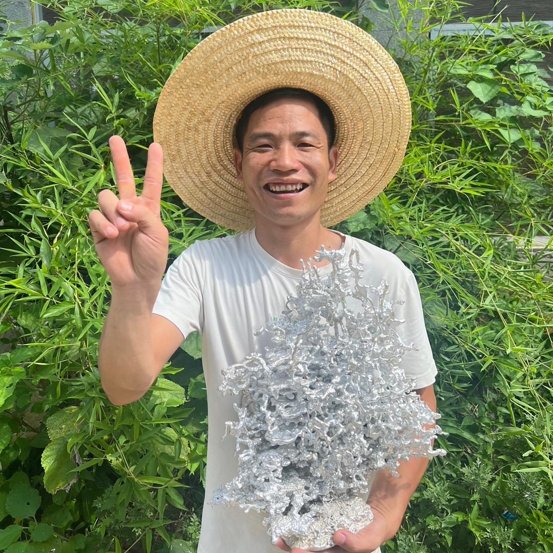 丧彪和蚂蚁的故事
