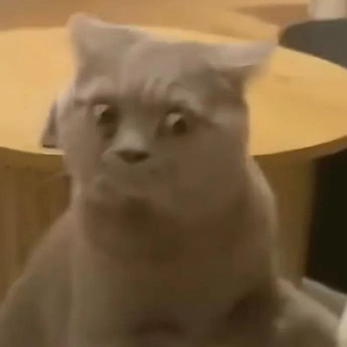 DNF皓弟弟