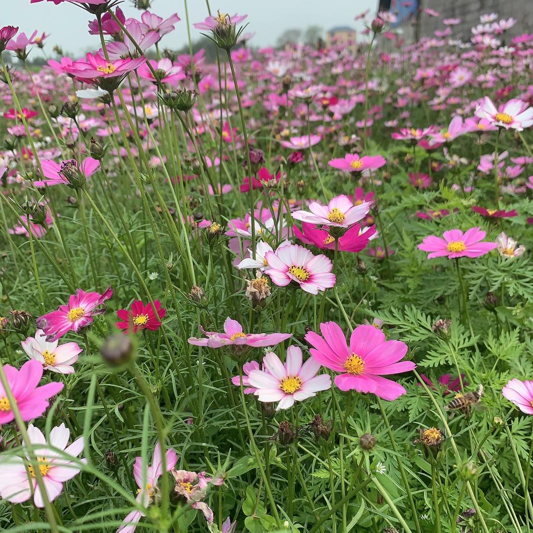你在就我在