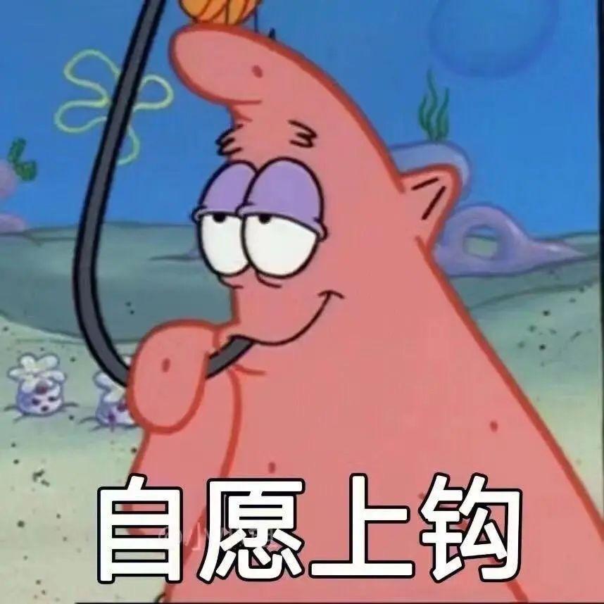 锤石Viver