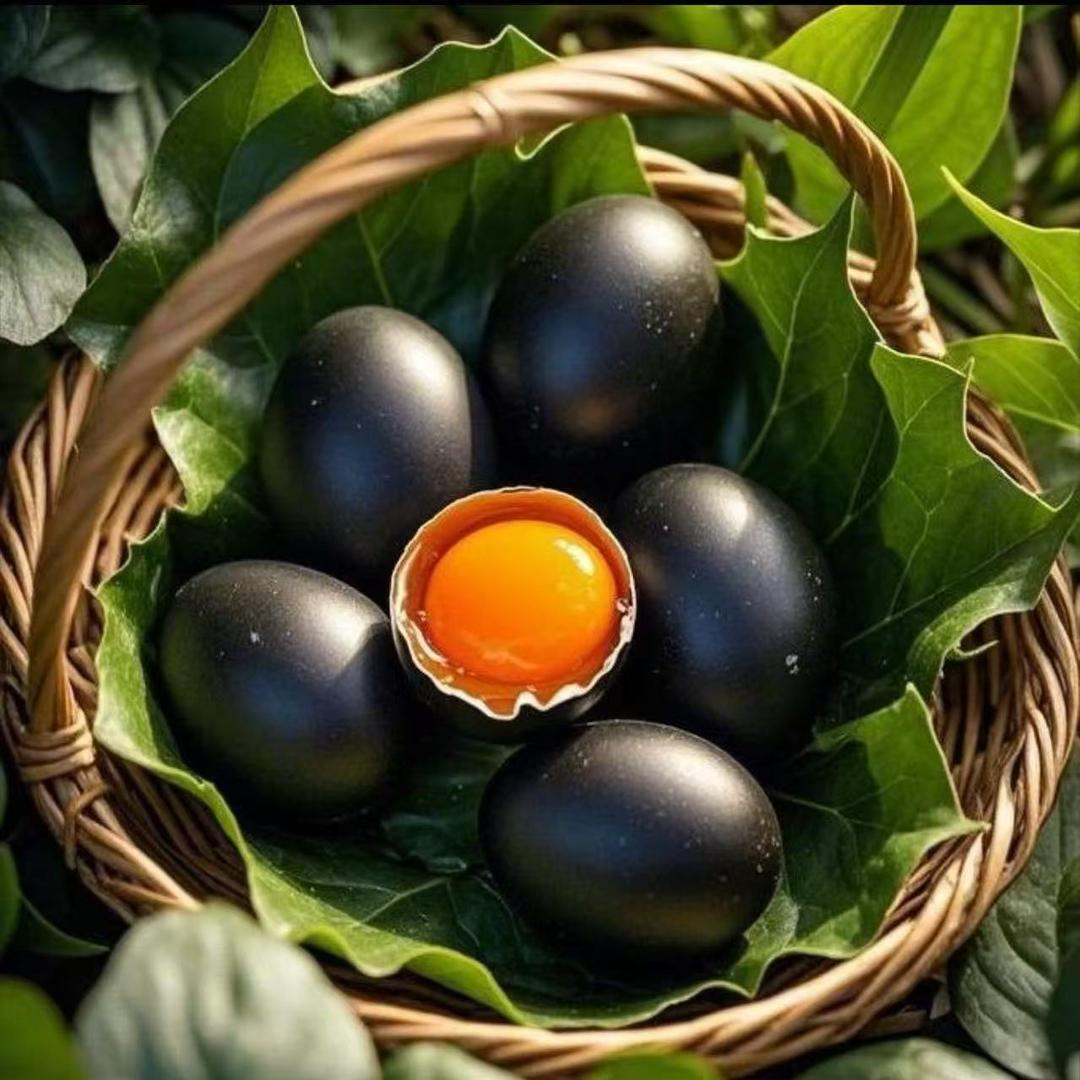 广州良幕珍禽精选