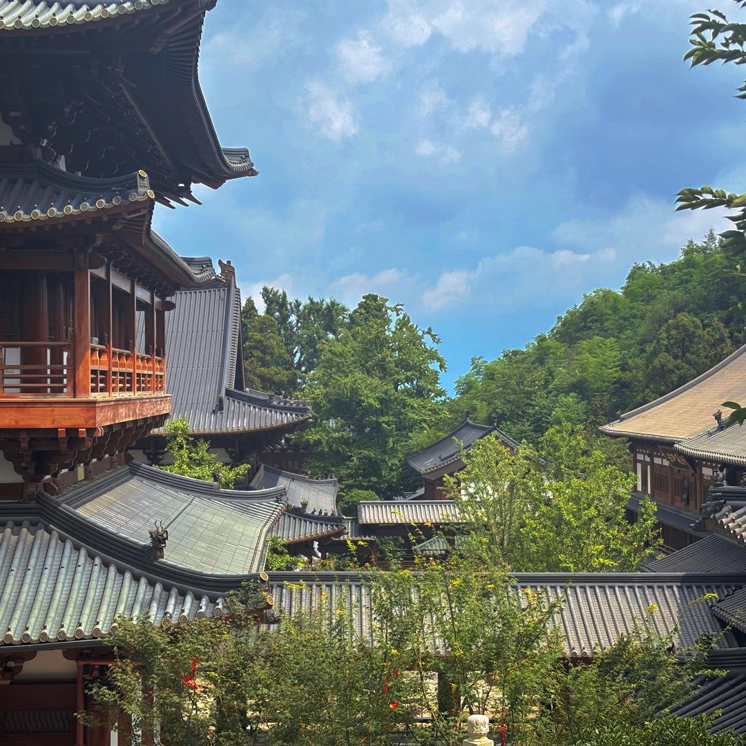 夏墨