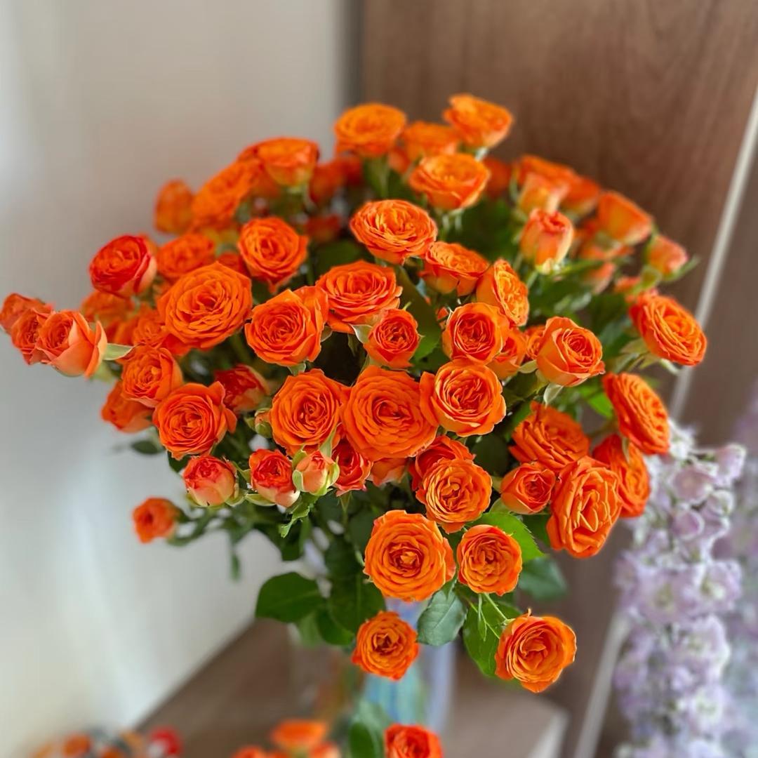 杨语柠花卉坊