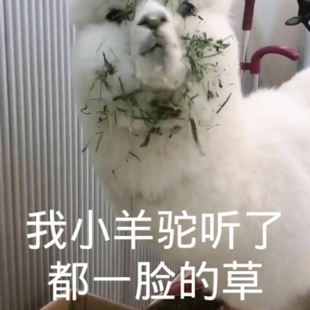 无辣不欢的广东人
