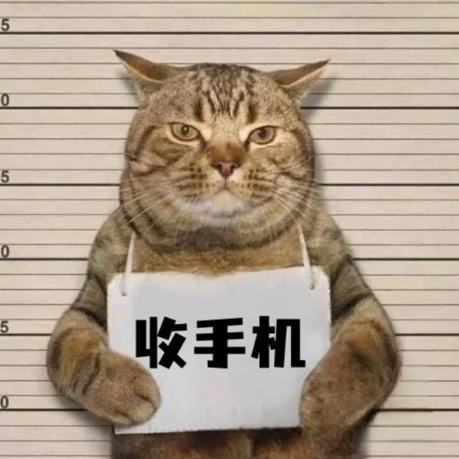 西安龙猫数码回收