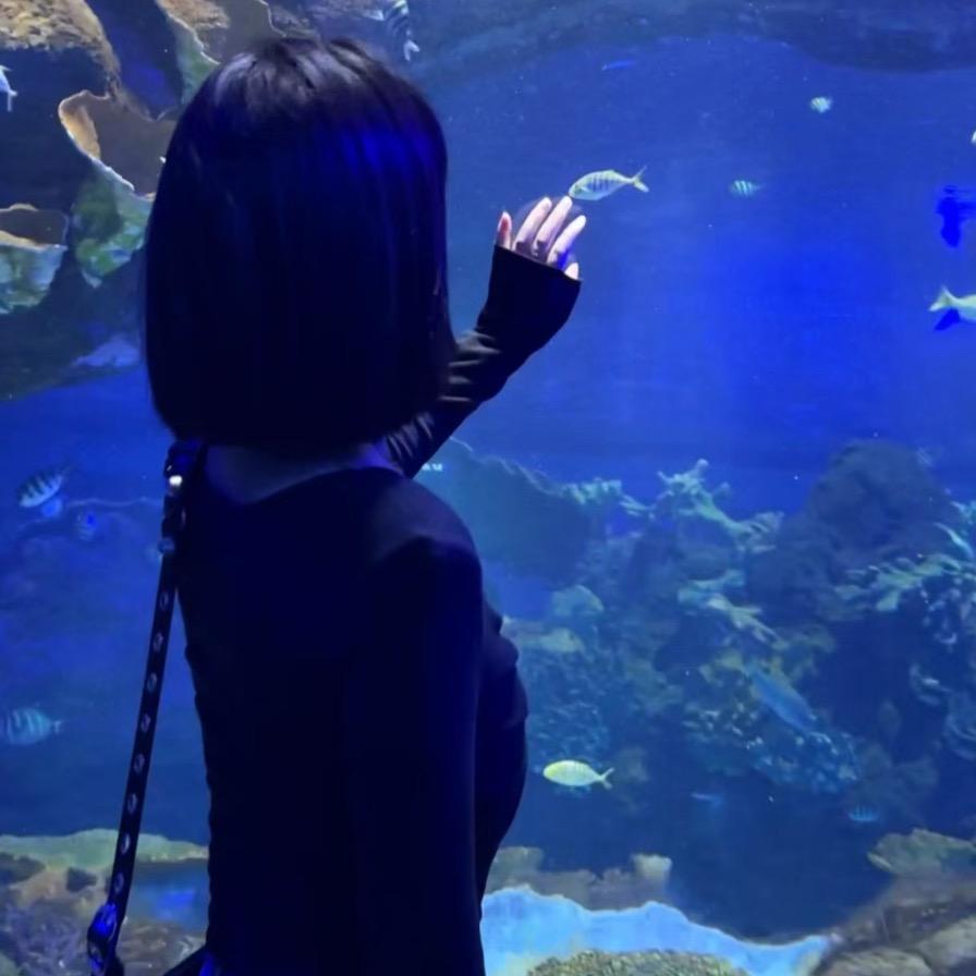 泡芙🫧