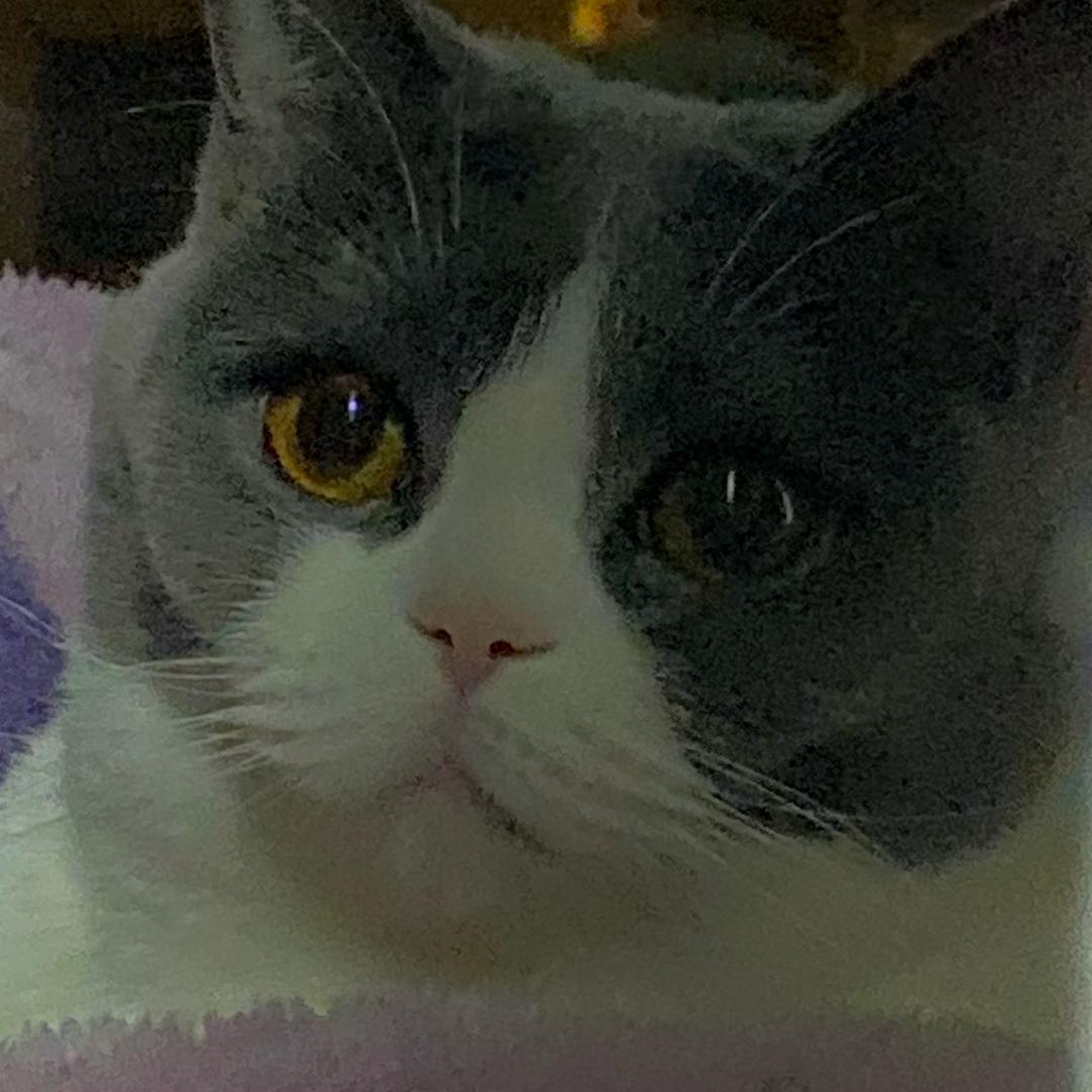 清风挺好