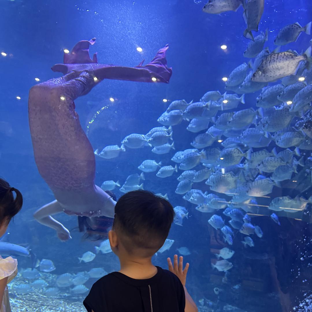 小童星优选店铺