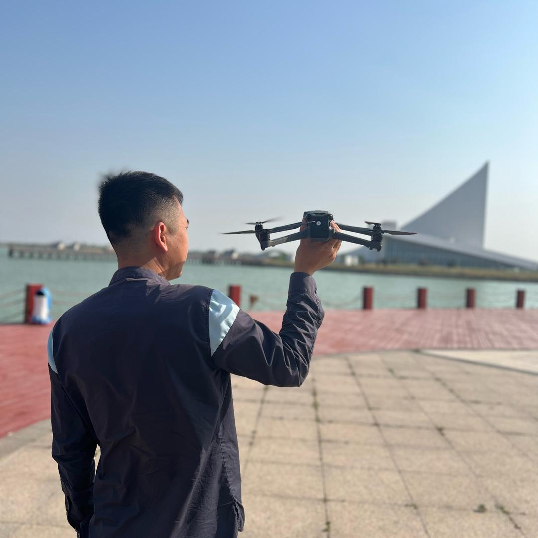 航拍大象