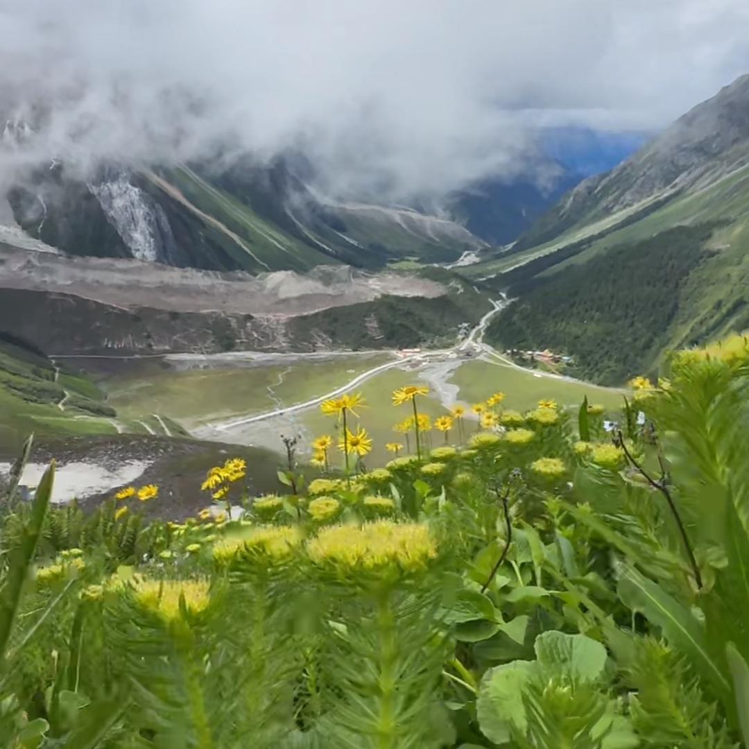 ╭(╯ε╰)╮幸运♥加满☆