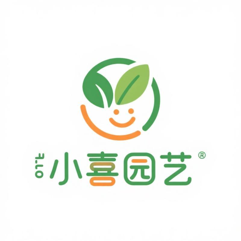 小喜园艺三角梅
