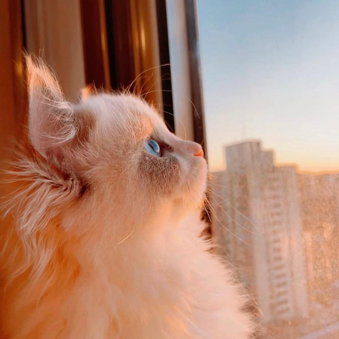 米娜💕