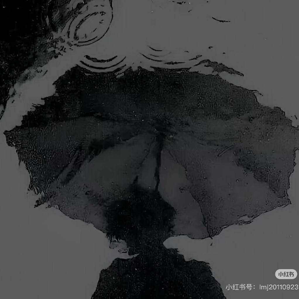 你白发苍苍说带我流浪