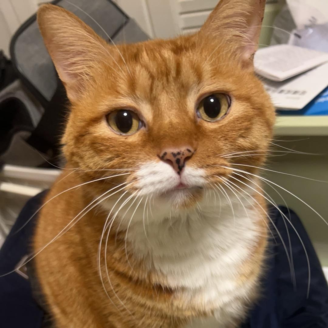 你赖东东不错嘛