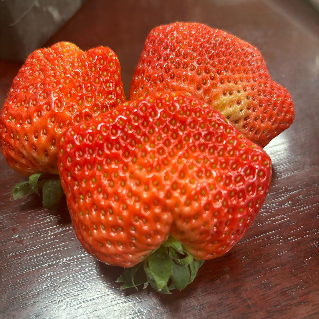 🌈哈哈杂货铺🌈