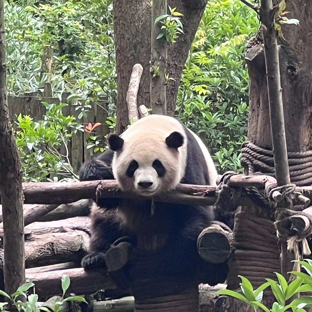 今天一定要早睡