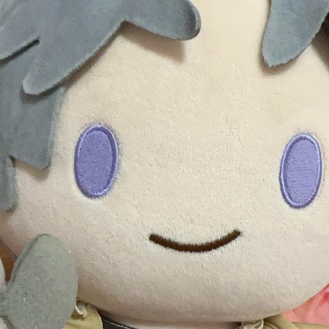 椰挺