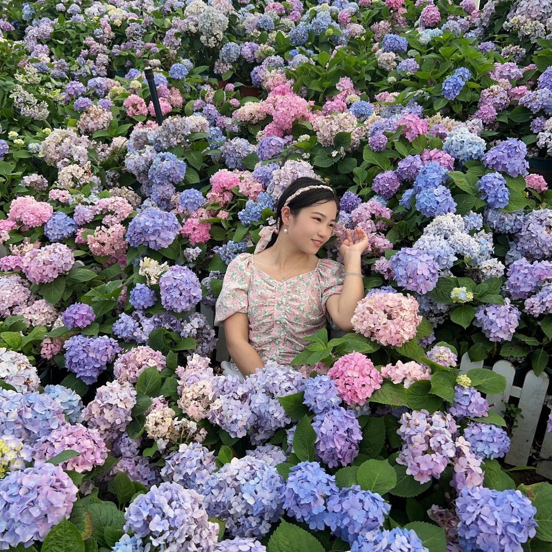 盐酸菜味儿～🌸