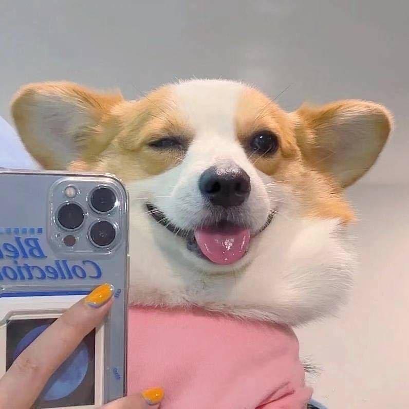 .再睡五分钟💕