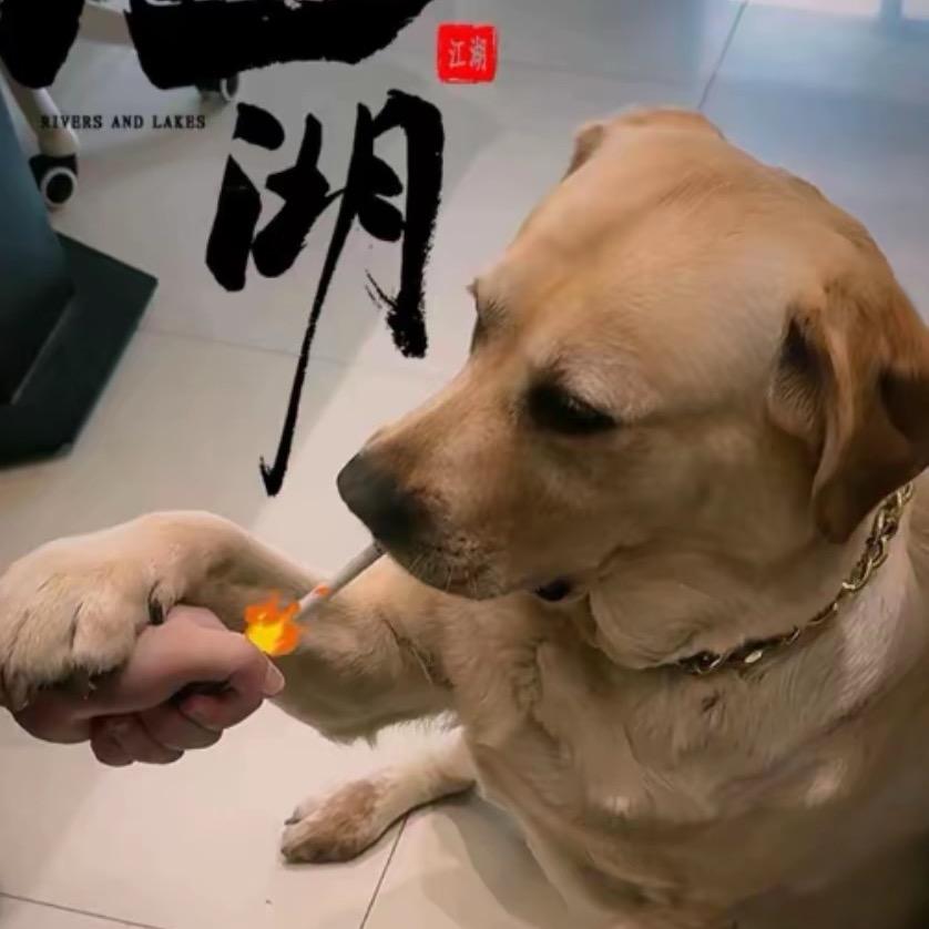 赛德克巴莱