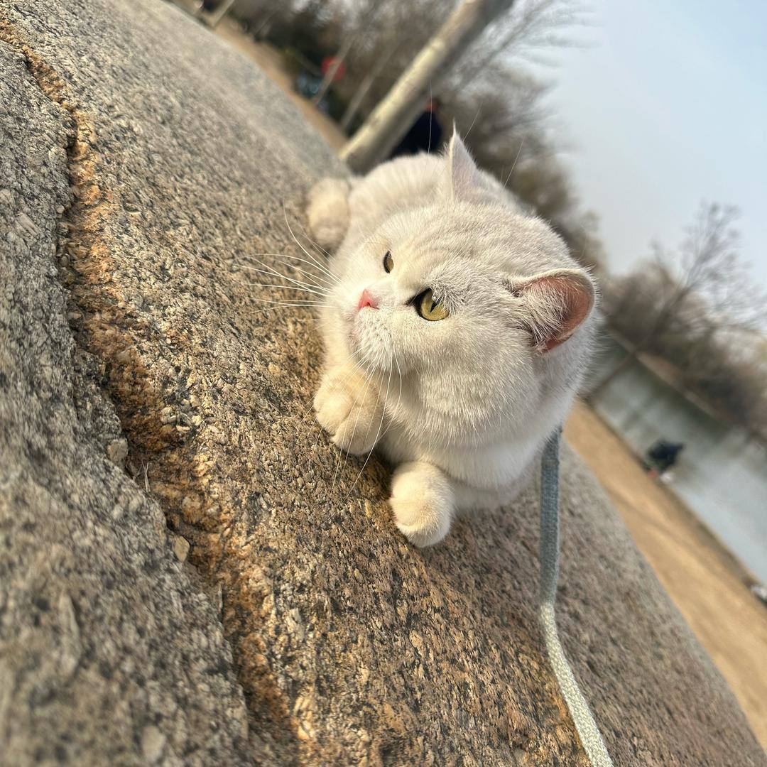 任性