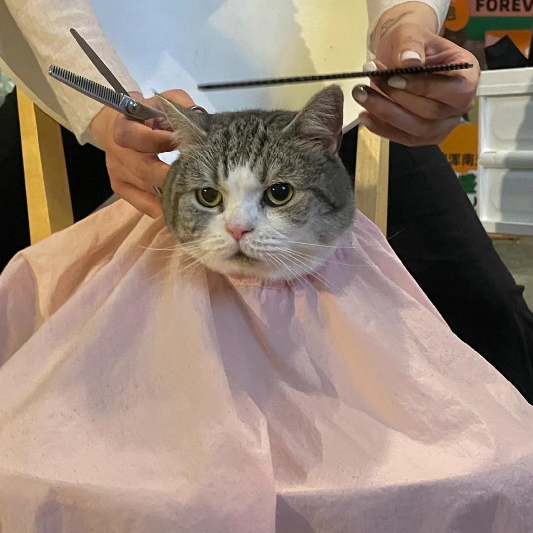用户24566