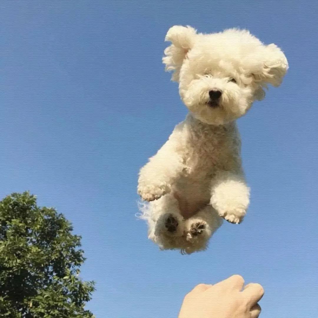 泥嚎