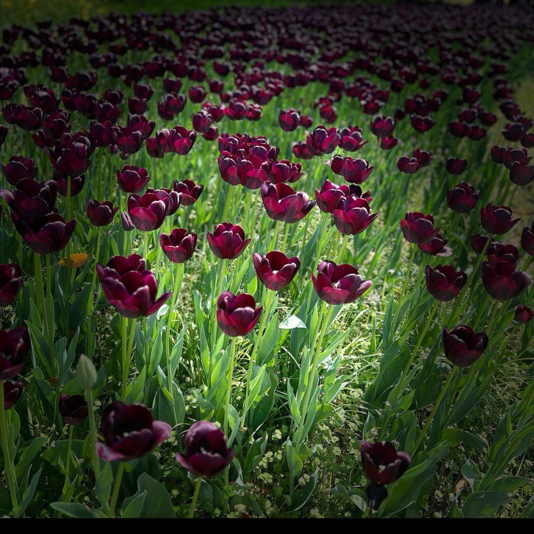 @颖儿（私信勿扰）