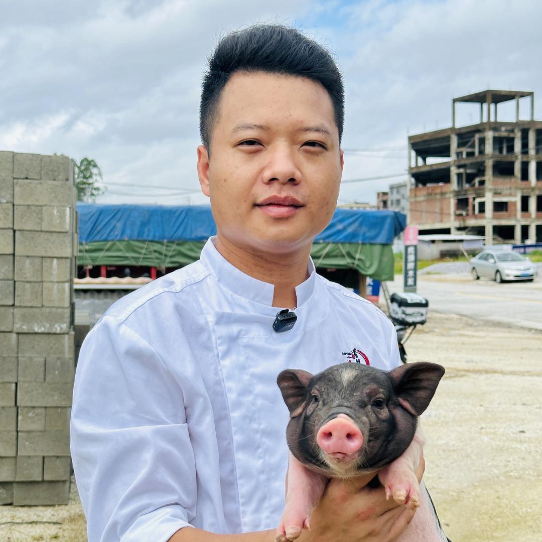 阿铁乳猪日记