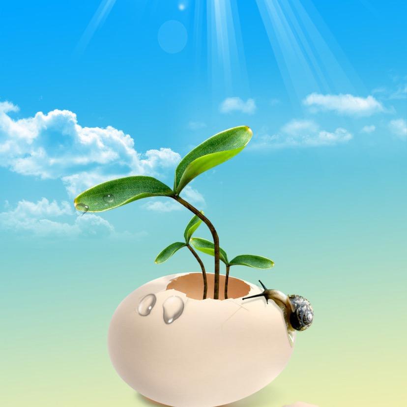 曲靖市麒麟区柏悦康体设备经营部