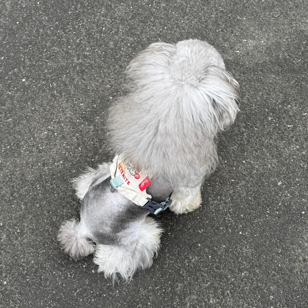 迪🧸