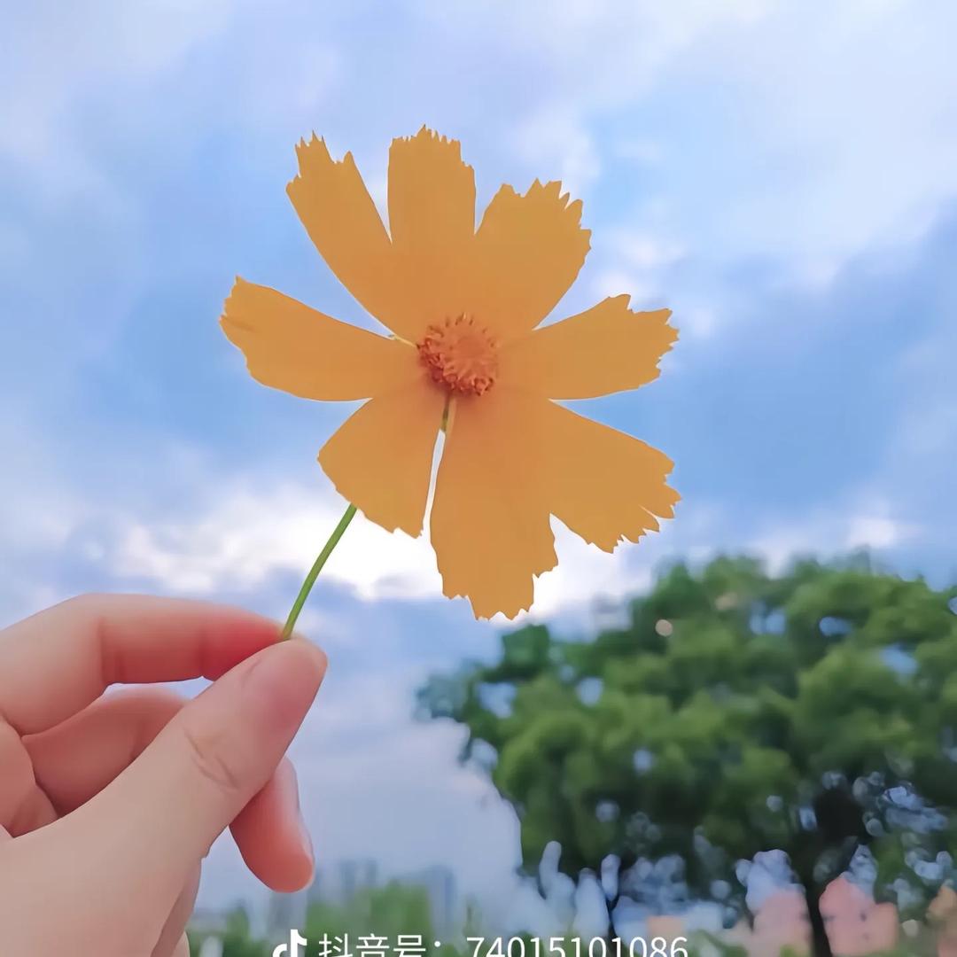 别败给生活