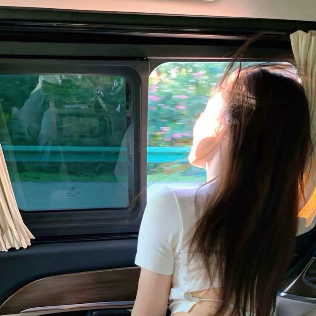 锦鲤