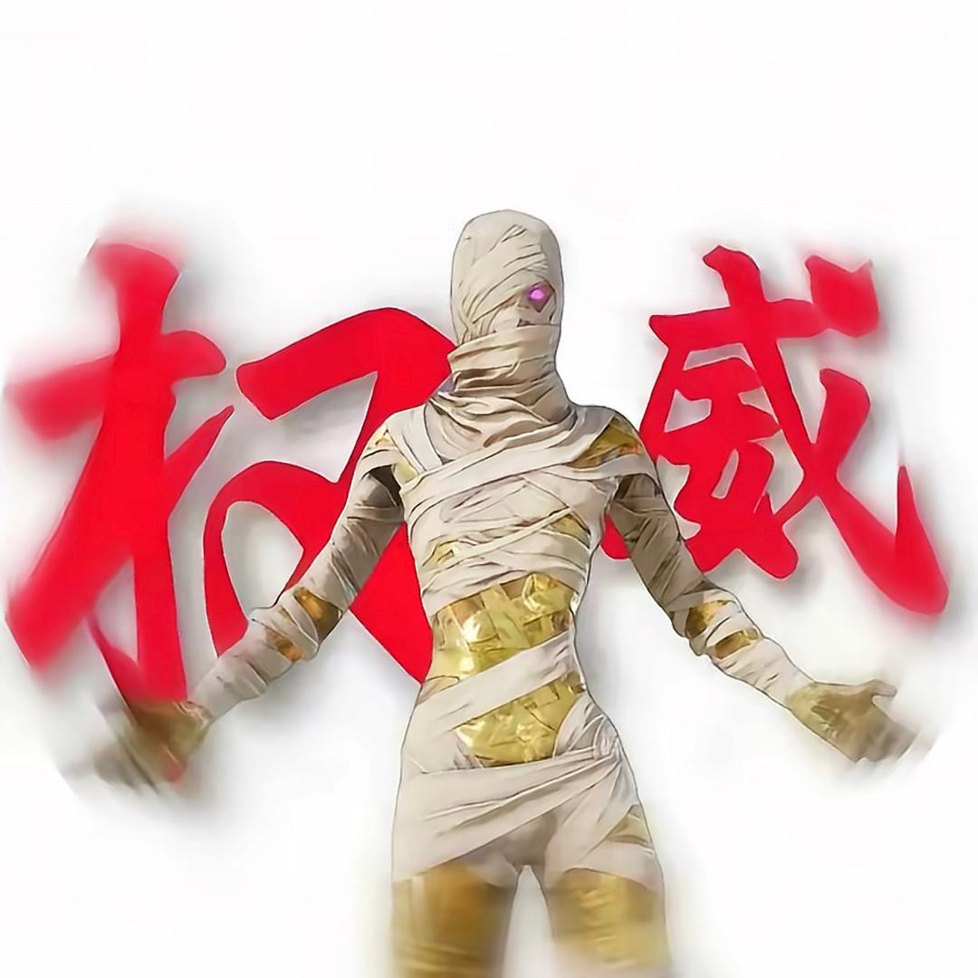 恺恺哥