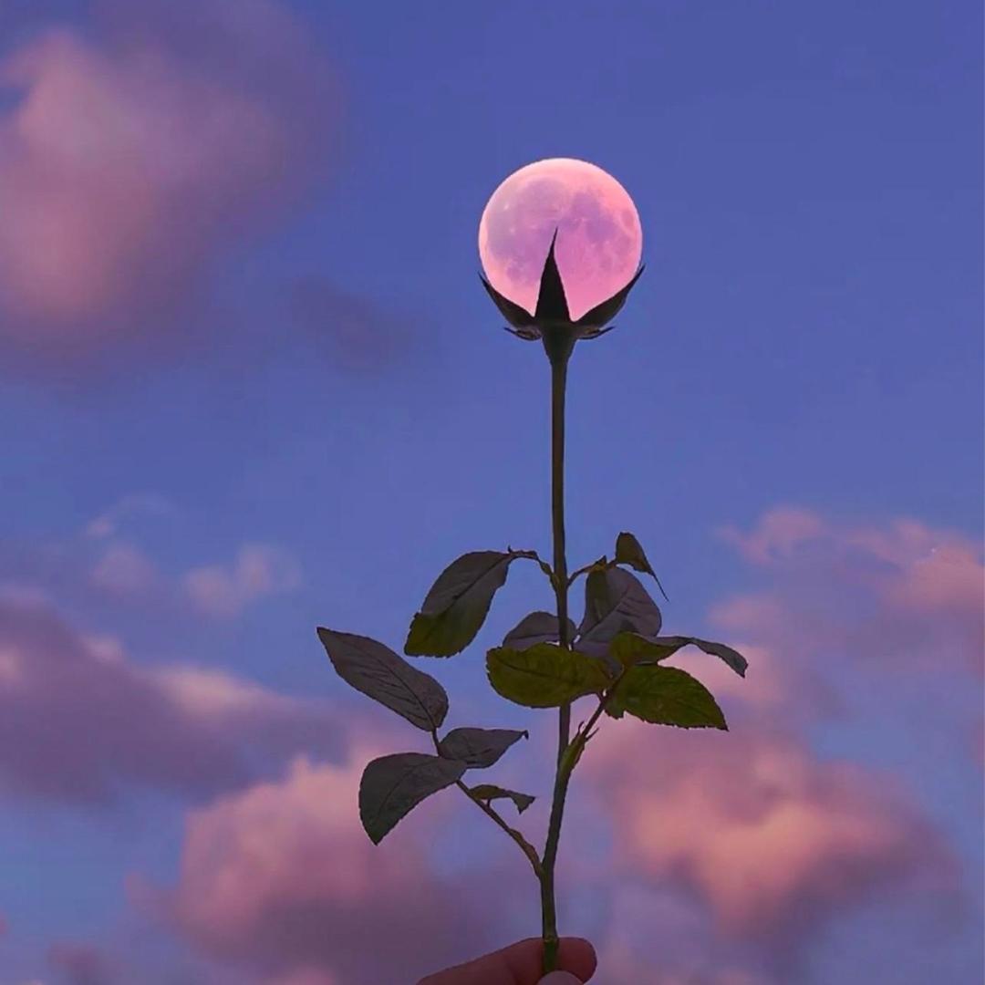 天青色不等烟雨