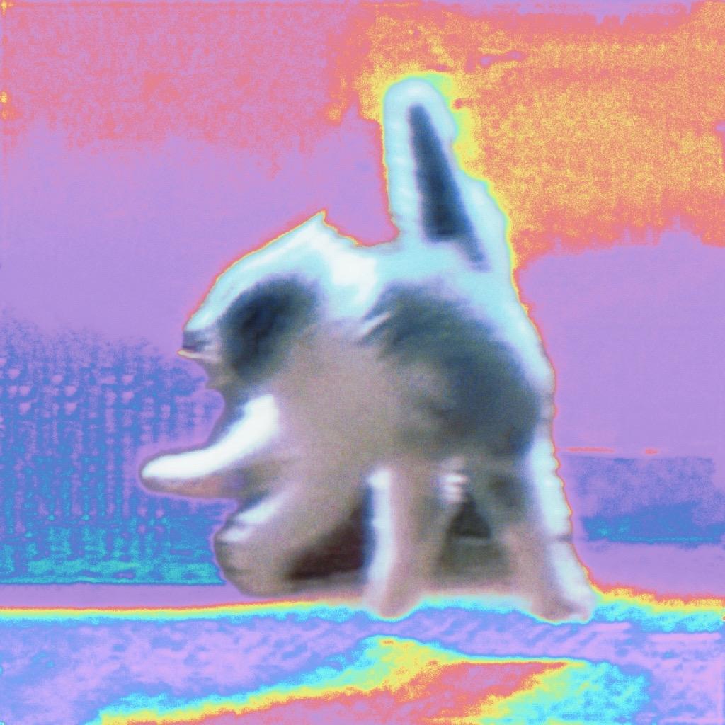 喵汪小记.