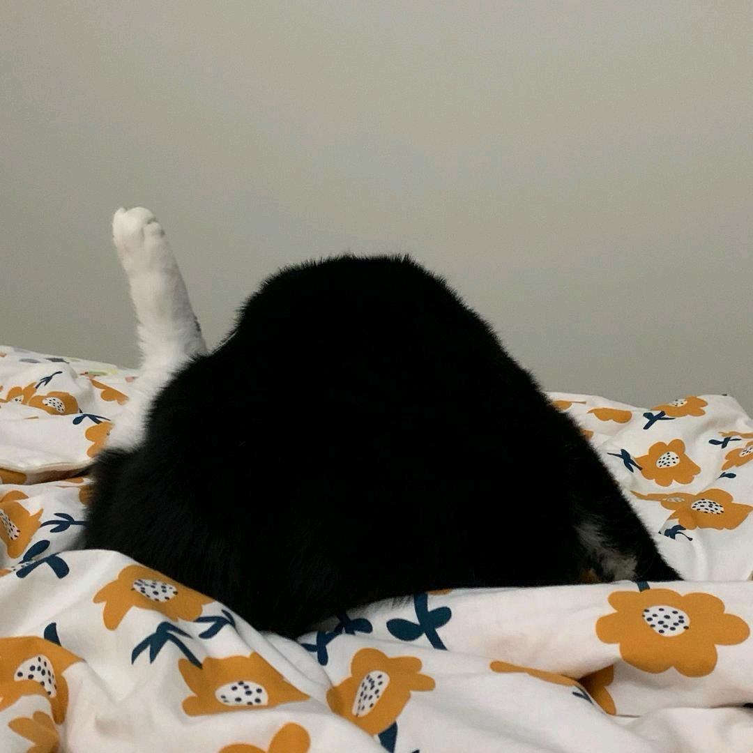 摘颗星星送给你 😶