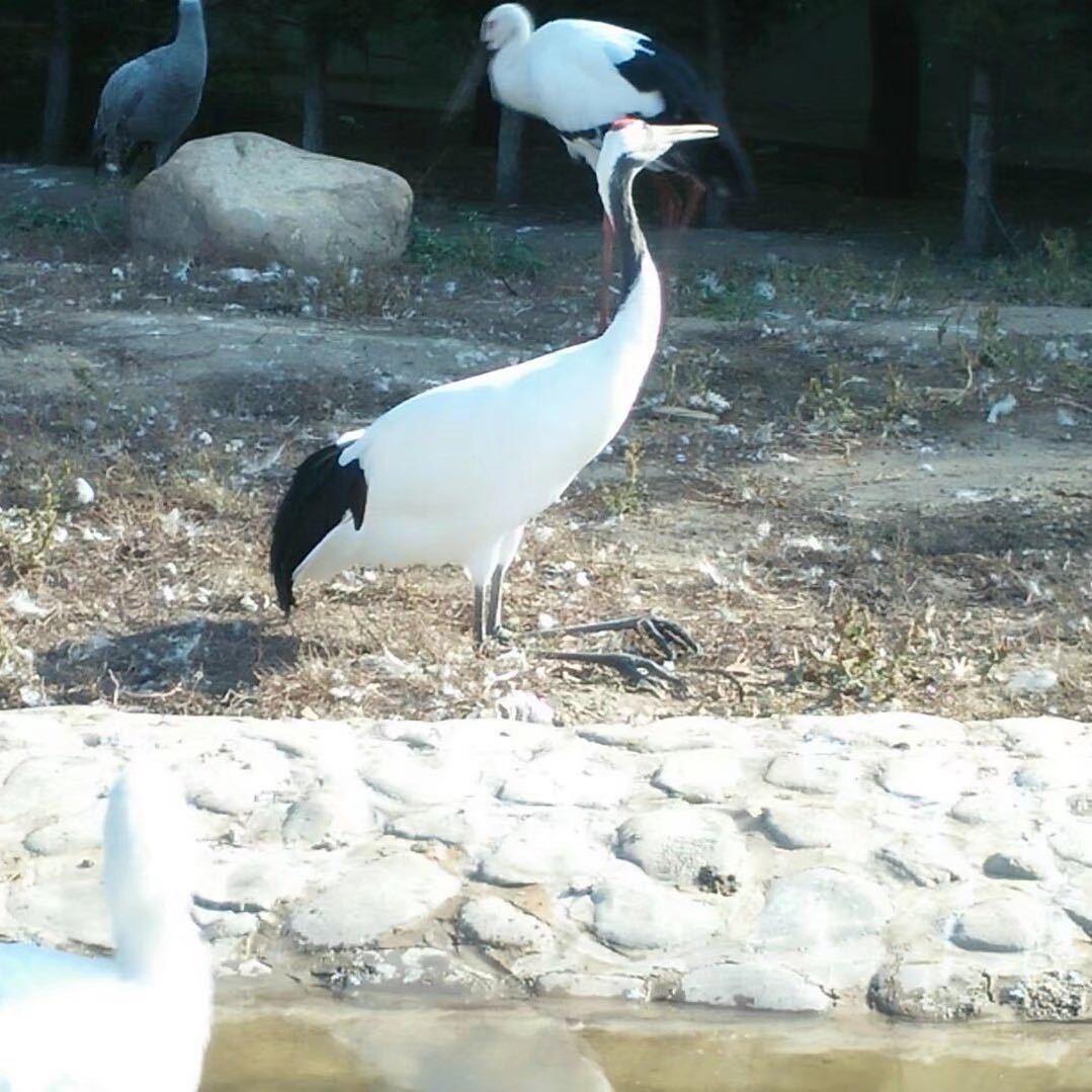 夏日暖阳，