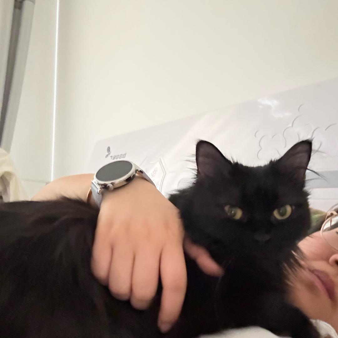 钢镚🪙😼