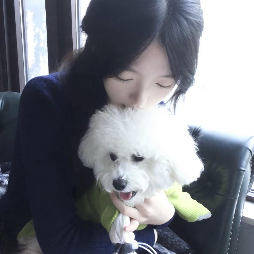 山茶花开在年糕里