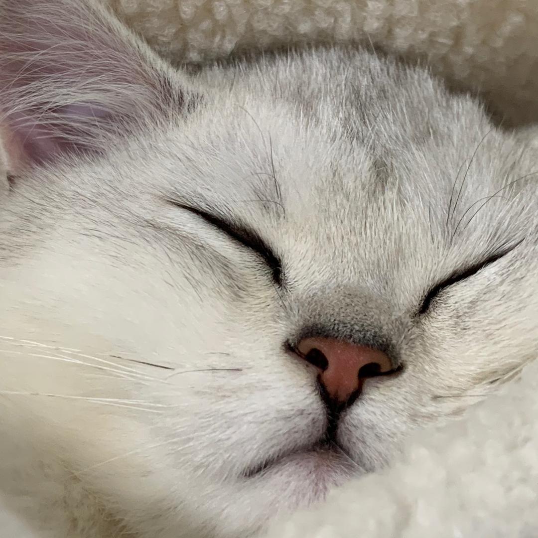 阿带🙆🏿‍♀️