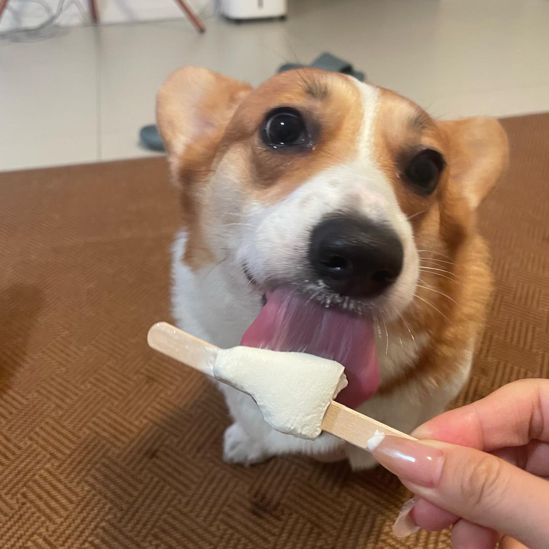 六六爱喝茶