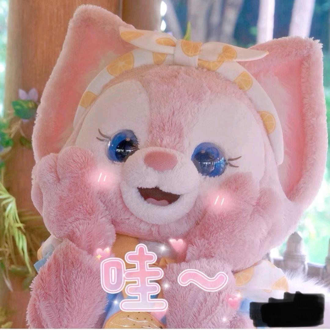 肥嘟嘟可可🍰